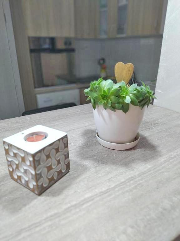 Harmony Apartment Radanovici Bagian luar foto